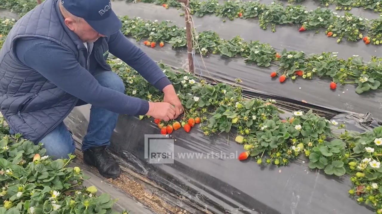 Miratohet marrëveshja Interreg Europe, Shqipëria përfiton fond për bujqësinë dhe agroturizmin