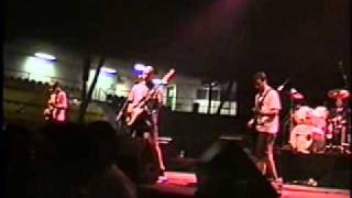 Wetdreamers - Optiband - Mystic Reptile