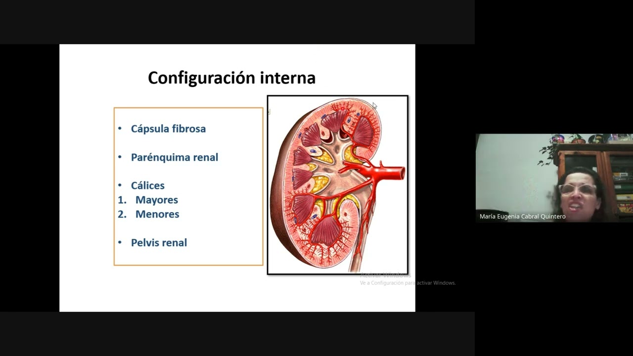 Clase de Repaso SHYSM - Vías Urinarias y Riñón - Prof. Eugenia Cabral