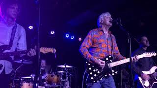 Robyn Hitchcock and the L.A. Squires: I Wanna Destroy You