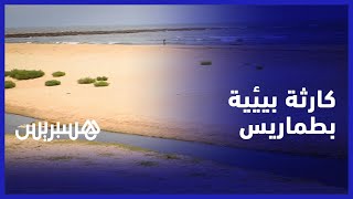 كارثة بيئية تغضب المصطافين.. مياه عادمة تصب في شاطئ  طماريس  بالبيضاء thumbnail