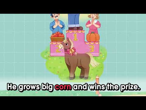 Smart Phonics 3rd Edition 5 Unit 7 Story - ar or