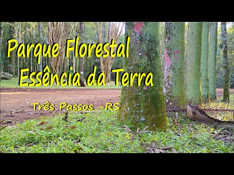 Parque Florestal Essência da Terra. Uma Trilha Inesquecível. Padre Go