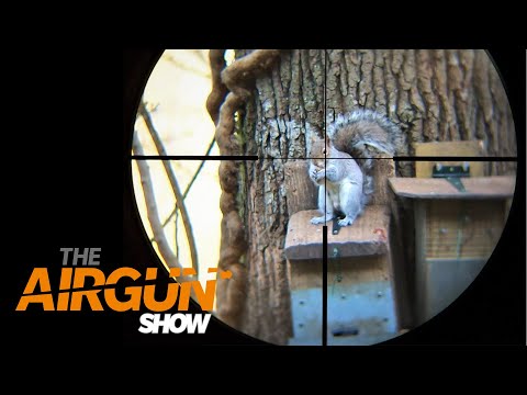The Airgun Show – how to use a feeding station for squirrel control & top tips for spring hunting…
