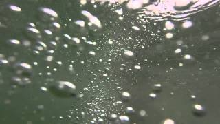 BuzzFeed News has contacted Derrick Johns for comment.