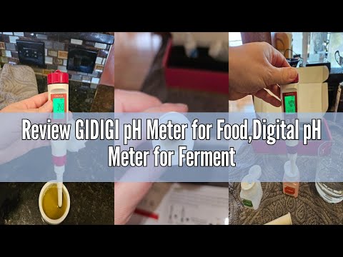 Review GIDIGI pH Meter for Food,Digital pH Meter for Fermentation,Hot Sauce,Canning,Spear Tip pH Foo