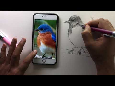Drawing for Beginners Step by Step | Day 011 Part 1 | Basic Pencil Shading Technique Part 1