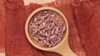 Download lagu Tips Membersihkan dan Mengolah Cumi Asin mp3