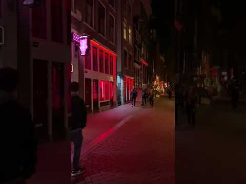 Window Girls 👯&zwj;♀️ Red Light District, Amsterdam