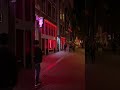 Window Girls 👯‍♀️ Red Light District, Amsterdam