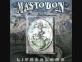 Mastodon - We Built This Come Death