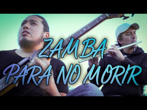 ZAMBA PARA NO MORIR