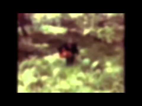 Nev Cottee  Stations Album Promo