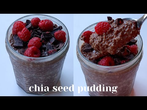 Chocolate Chia Seed Pudding Recipe under 400 Calories - Healthy Chocolate Pudding for Breakfast 🍫