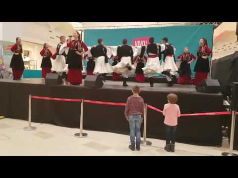 Ceancu ansamblul Vanghilizmo la Vivo