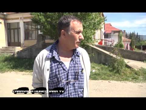 CARAVANA Hunedoara TV  Comuna Salasu de Sus - narcise