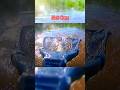 Video Thumbnail for Rainbow Trout #shorts #fishing