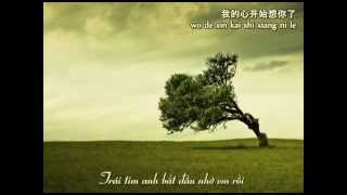 [Vietsub+Pinyin] Anh Thực Sự Bị Tổn Thương Rồi - Trương Học Hữu