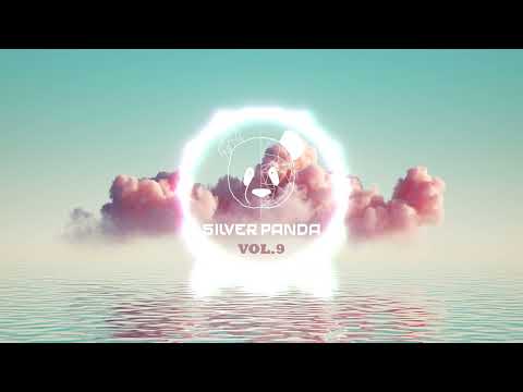 Silver Panda Melodic Sessions - Vol. 9