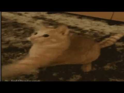 When the teacher is writing very fast on the board and I'm trying to write it all down