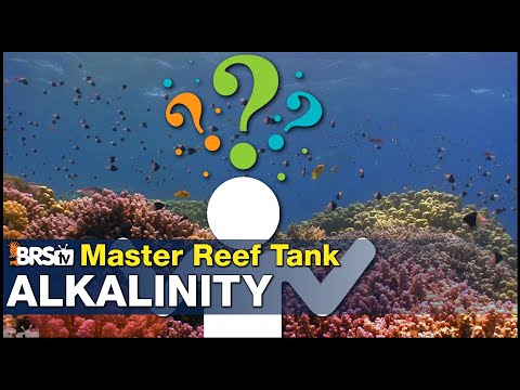 New concept in reef tank Alkalinity: How it works & how to gain 70% or more coral growth!