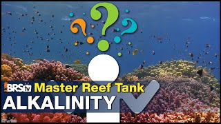 Alkalinity - The Secret to fast growing coral? BRStv Investigates