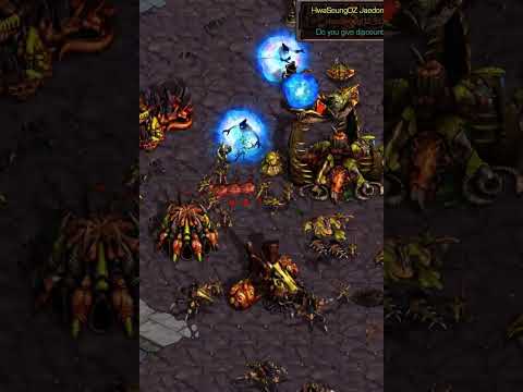 Shy dropping Jaedong's main with ARCHONS? | #falconpaladin #starcraft #broodwar #gaming #pcgaming