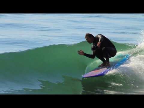 Mollusk Surf Shop Mega Fish