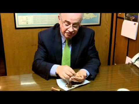 A guide to the new Pipe Smoker - How to fill and light your pipe