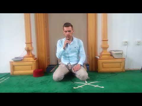 dzibrilova krila - Kenan Deblic