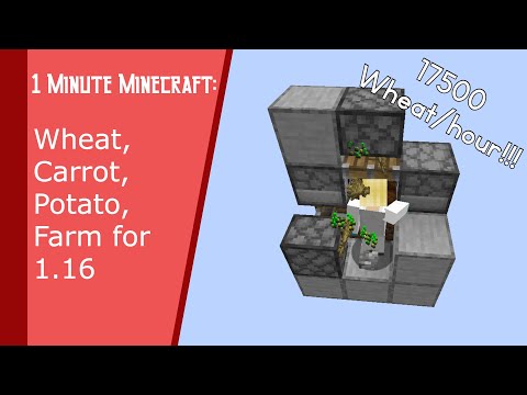 Super Fast Wheat-farm in under 1 Minute! (17500 wheat/hour!) #Shorts