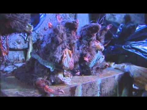 The Crack Fox Song - We Are The Animals - The Mighty Boosh. Unseen Scene.