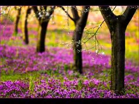 Milton Nascimento - Outro Lugar