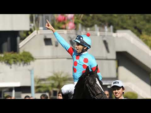 Japan and Magic Man dominate Hong Kong International Races