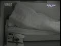 bigbrother sex