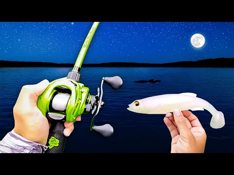 Night Fishing for Pond MONSTERS!