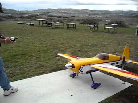 Noel & the bee's on the tail of the plane.