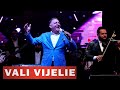 VALI VIJELIE E MARE PETRECERE 2025 BERARIA H
