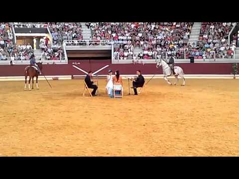 Alberto Soto. Espectaculo Ecuestre