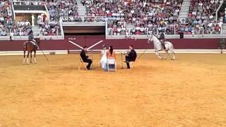 Alberto Soto. Espectaculo Ecuestre