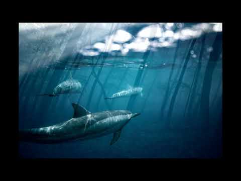 MUSIC FOR STUDY, RELAXING - From Russia With Love By Huma