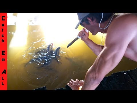 How to CATCH FISH with KNIFE!