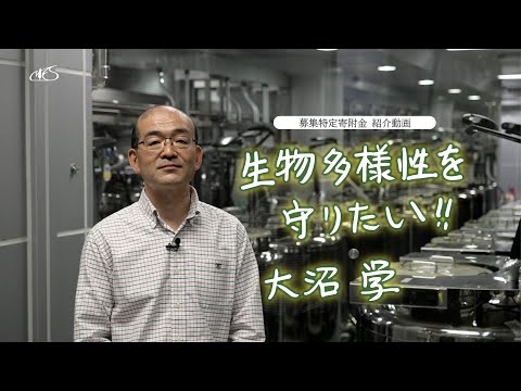 私たちが知っているインターネットは絶滅の危機に瀕しています