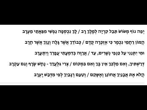 Yefe Nof zarka   יפה נוף זרקא