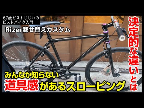 オピストティラクス・イマキュラトゥスについて詳しく解説