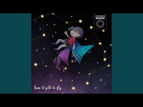 Video thumbnail for How It Feels To Fly