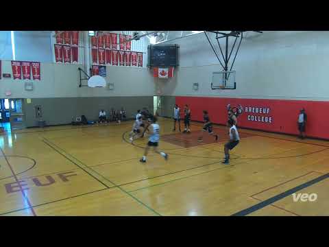 hrmnze vs la dynasty - sunday tier 4 playoffs - tcbl 2022 summer