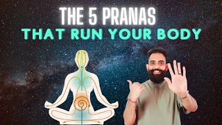 Download lagu The 5 Pranas in Yoga (and how Kundalini awakens) mp3