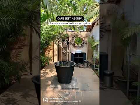 Restaurantes e cafés que você deve visitar no Sul de Goa! #goacafes #mustvisit #placestoeatgoa