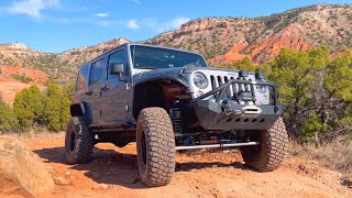 KATE The GREAT (BLACK ADVANCED) - MERUS ADVENTURE PARK